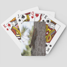 Cartas de juego de ardilla al revés