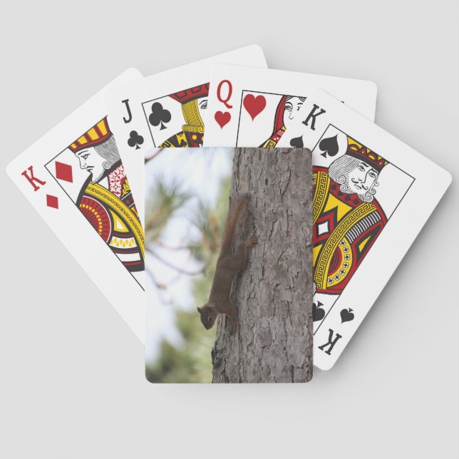 Cartas de juego de ardilla al revés (Reverso)