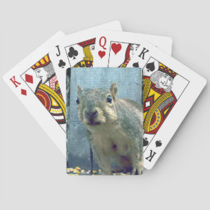 Cartas de juego de ardillas