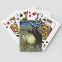 Cartas de juego de bicicletas Elk