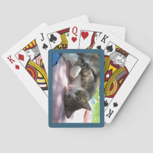 Cartas de juego de Big Boy Cat On Table