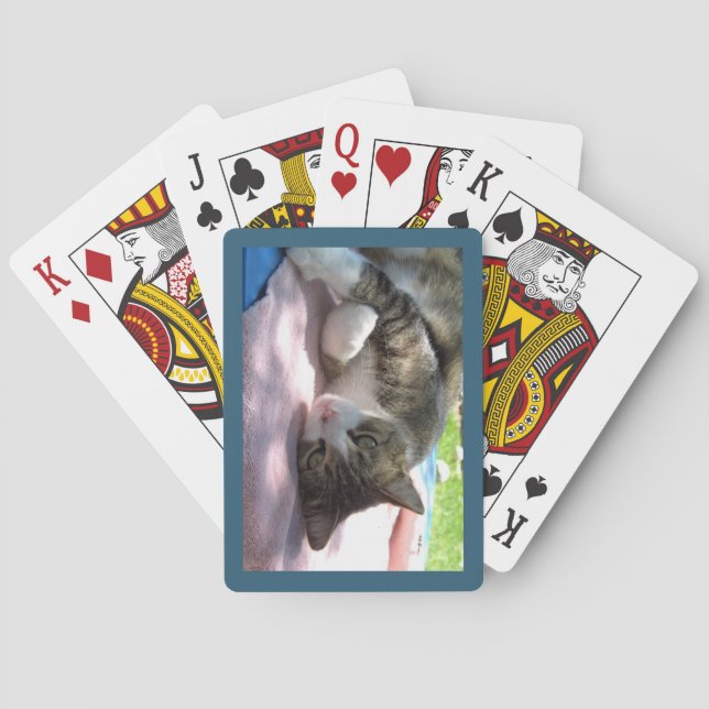 Cartas de juego de Big Boy Cat On Table (Reverso)
