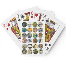 Cartas de juego de Bird Lover