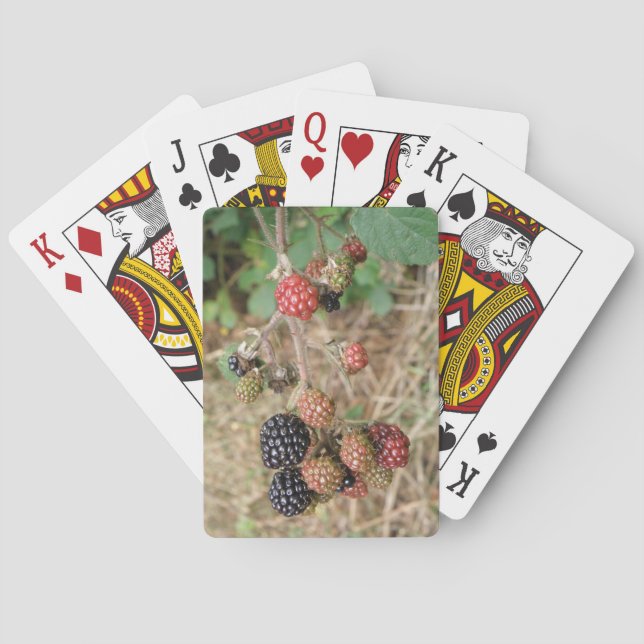 Cartas de juego de Blackberry Bonanza (Reverso)