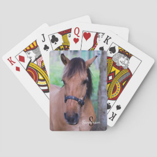 Cartas de juego de caballo Fjord noruego