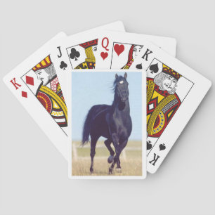 Cartas de juego de caballos en carreras negras