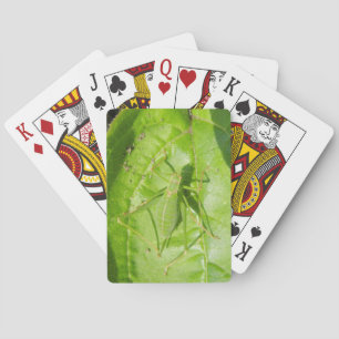 Cartas de juego de camuflaje de críquet verde