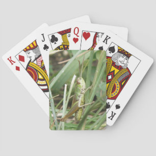 Cartas de juego de camuflaje de Grasshopper