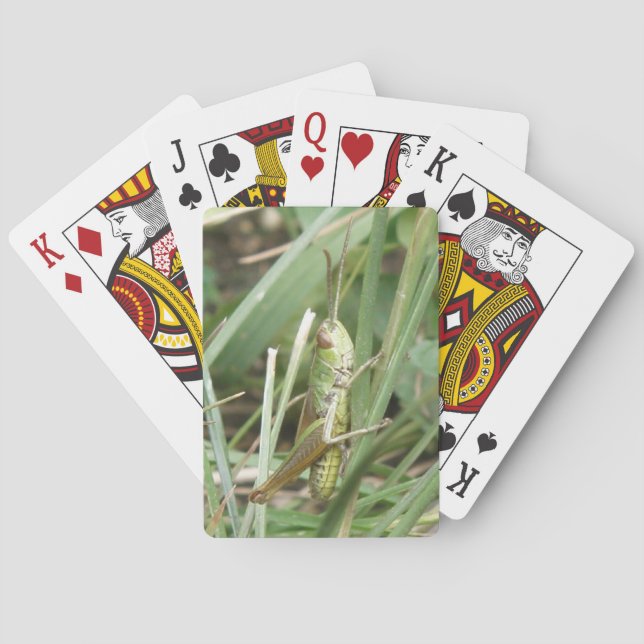 Cartas de juego de camuflaje de Grasshopper (Reverso)