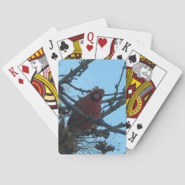 Cartas de Juego de Cardenal