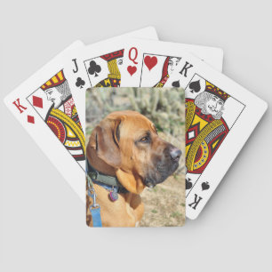 Cartas de juego de castiff brasileñas