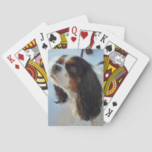 Cartas de juego de Cavalier Spaniel de tres colore