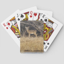Cartas de juego de ciervos en la espesura
