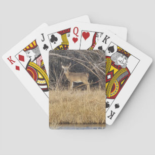 Cartas de juego de ciervos en la espesura
