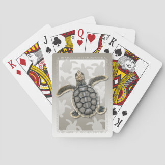 Cartas de juego de cría de tortuga marina de dorso