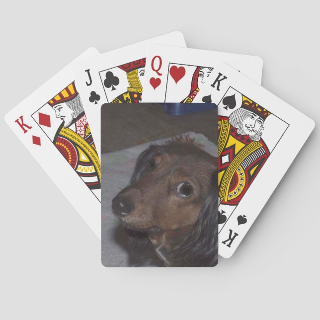 Cartas de juego de Dachshund (Reverso)