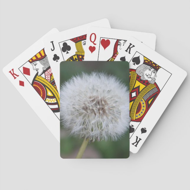Cartas de juego de Dandelion (Reverso)