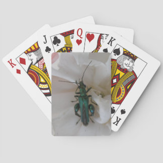 Cartas de juego de escarabajo de flores
