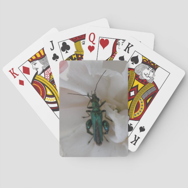 Cartas de juego de escarabajo de flores (Reverso)