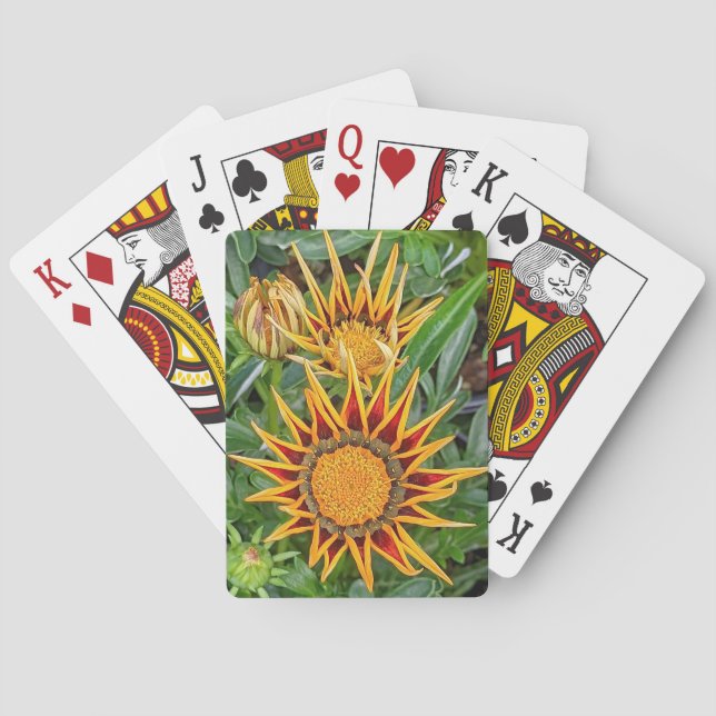 Cartas de juego de flores de Gazania (Reverso)