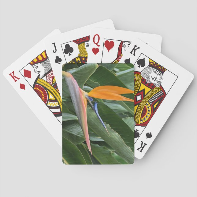 Cartas de juego de flores de pájaro (Reverso)
