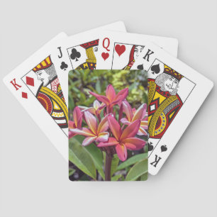 Cartas de juego de flores Plumeria Rubra