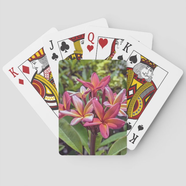Cartas de juego de flores Plumeria Rubra (Reverso)