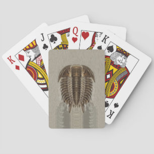 Cartas de juego de fósiles trilobitas