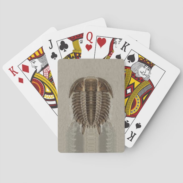 Cartas de juego de fósiles trilobitas (Reverso)