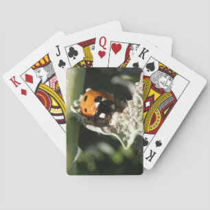 Cartas de juego de galimatías británicas de 7 punt