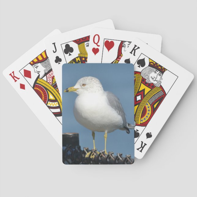 Cartas de juego de gaviota (Reverso)