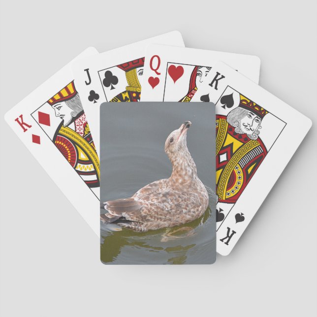 Cartas de juego de gaviota (Reverso)