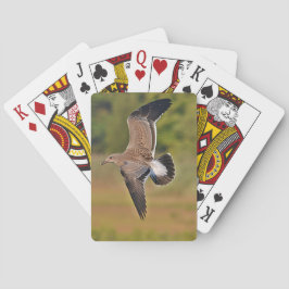 Cartas de juego de gaviota
