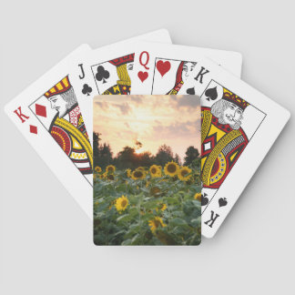 Cartas de Juego de Girasoles