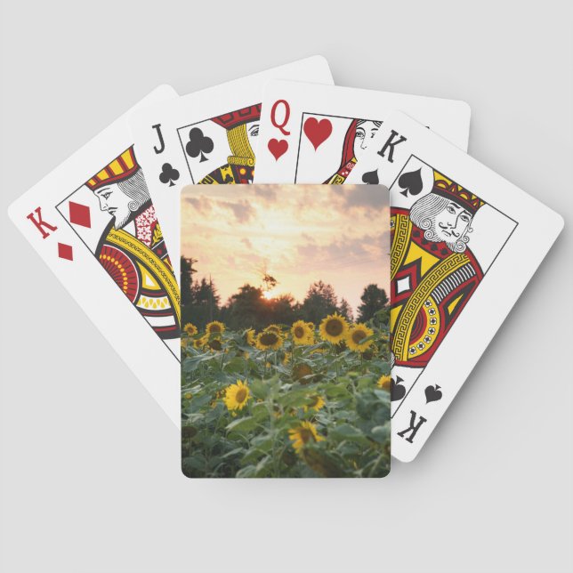 Cartas de Juego de Girasoles (Reverso)