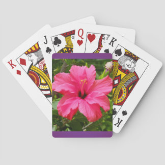 Cartas de juego de Hibiscus