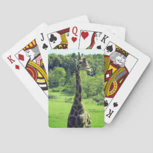 Cartas de juego de jirafa