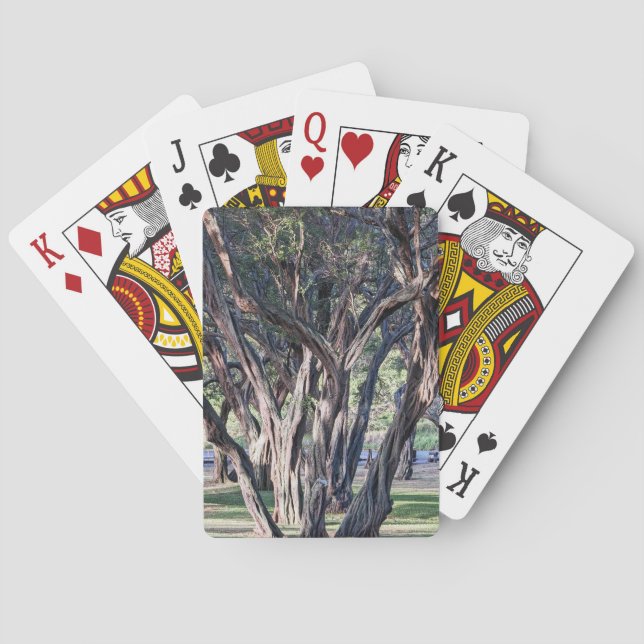 Cartas de juego de Kiawe Tree en Hawái (Reverso)