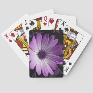 Cartas de juego de la flor morada de margarita