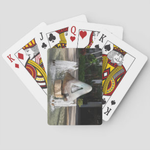 Cartas de juego de la fuente del agua