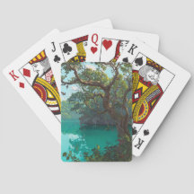 Cartas de juego de la laguna de la selva esmeralda