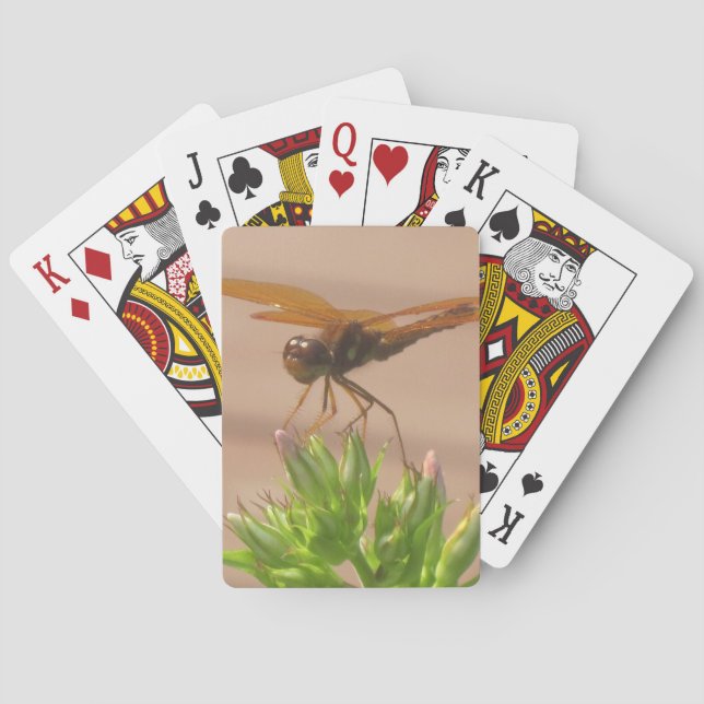 Cartas de juego de la libélula (Reverso)