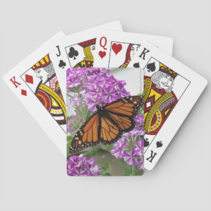 Cartas de juego de la mariposa monarca