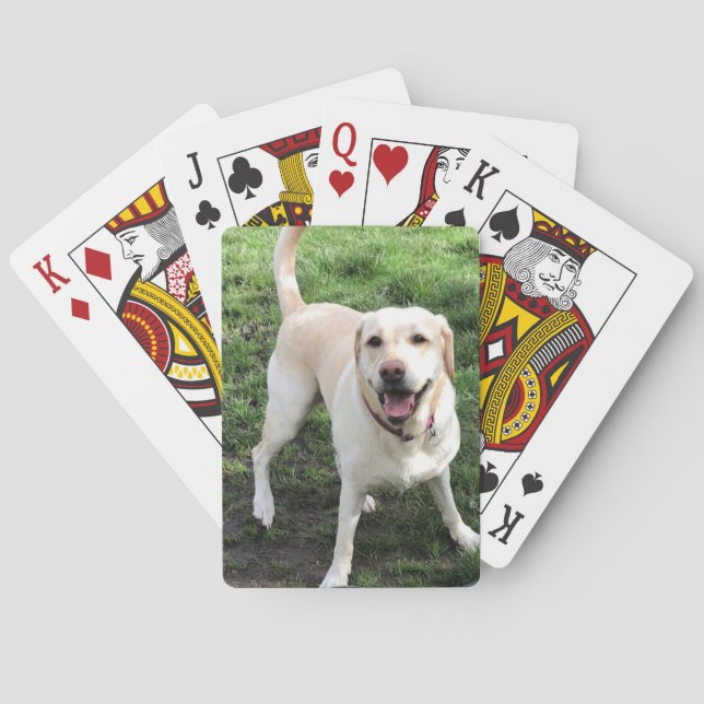 Cartas de juego de Labrador (Reverso)