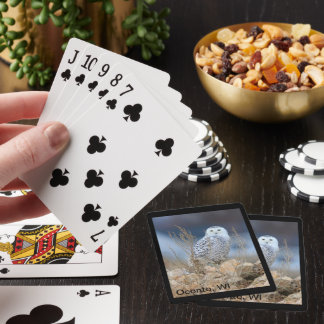 Cartas de juego de lechuza nevada, Oconto