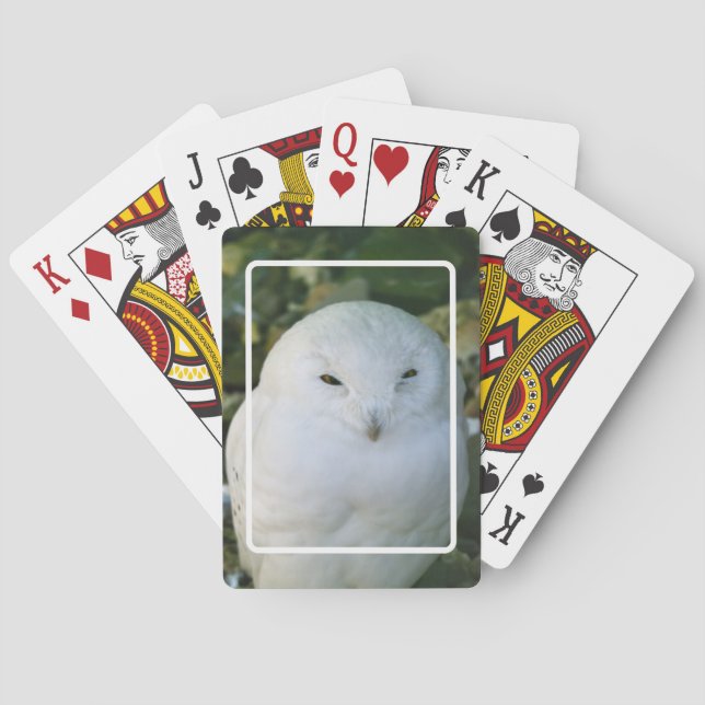 Cartas de juego de lechuza nival (Reverso)