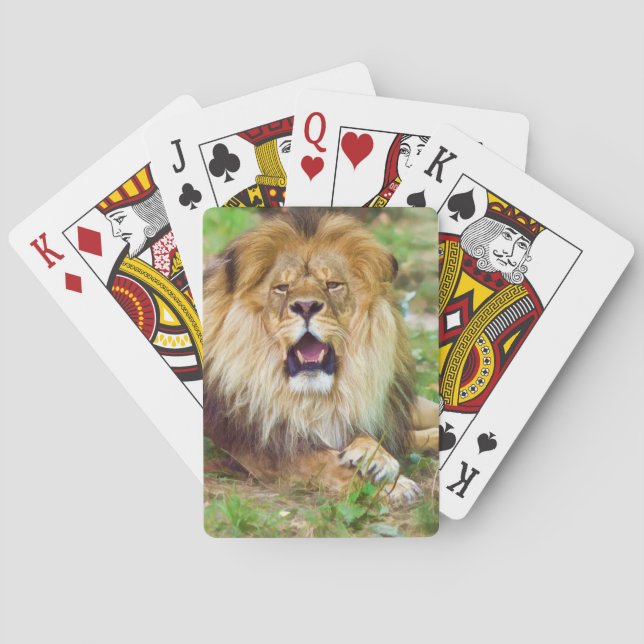 Cartas de juego de leones ruidosas (Reverso)