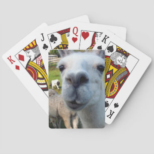 Cartas de juego de llamada goofy