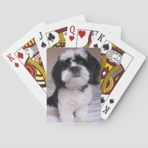 Cartas de juego de los Apso de Lhasa en blanco y n