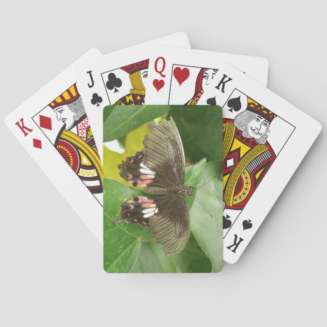 Cartas de juego de mariposa de cola de cerda de es (Reverso)